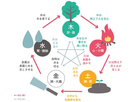 五行分類表|五行説の概要と人体との関係 